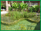 İzmir - Özdere'de Biyolojik Gölet