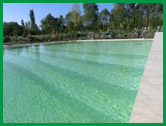 Eskişehir - Uluçayır'da Biyolojik Yüzme Havuzu